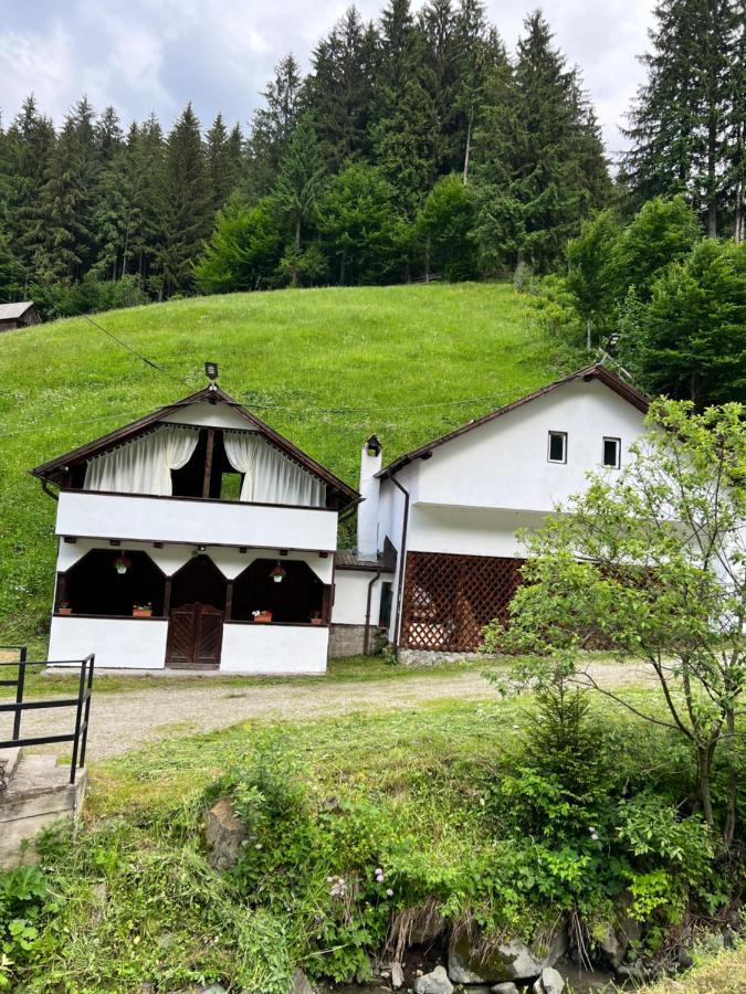 Hotel Casuta De Langa Padure Moeciu De Sus Zewnętrze zdjęcie