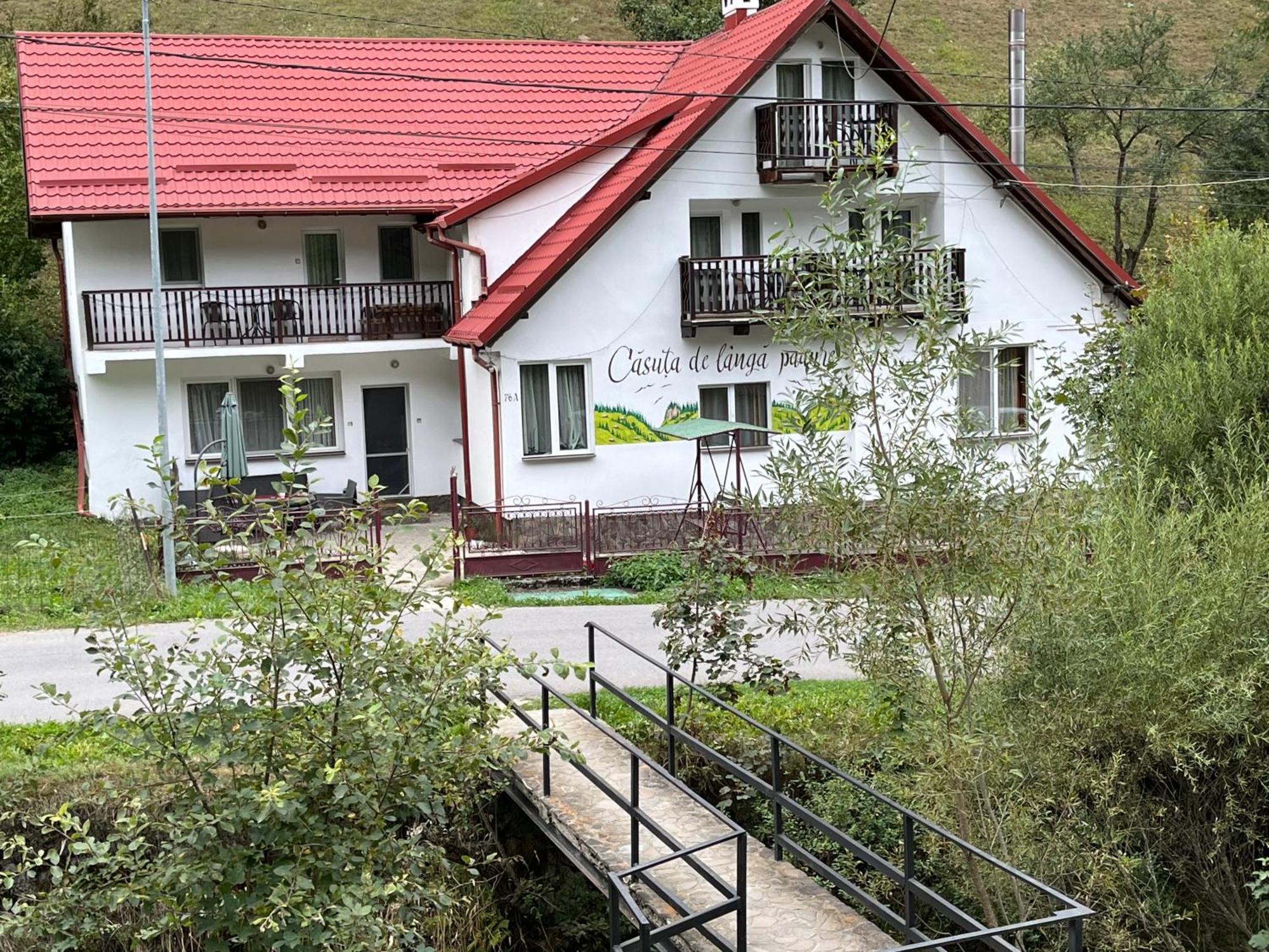 Hotel Casuta De Langa Padure Moeciu De Sus Zewnętrze zdjęcie