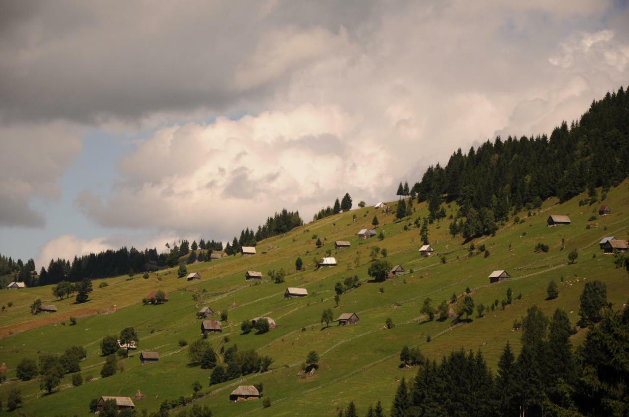 Hotel Casuta De Langa Padure Moeciu De Sus Zewnętrze zdjęcie