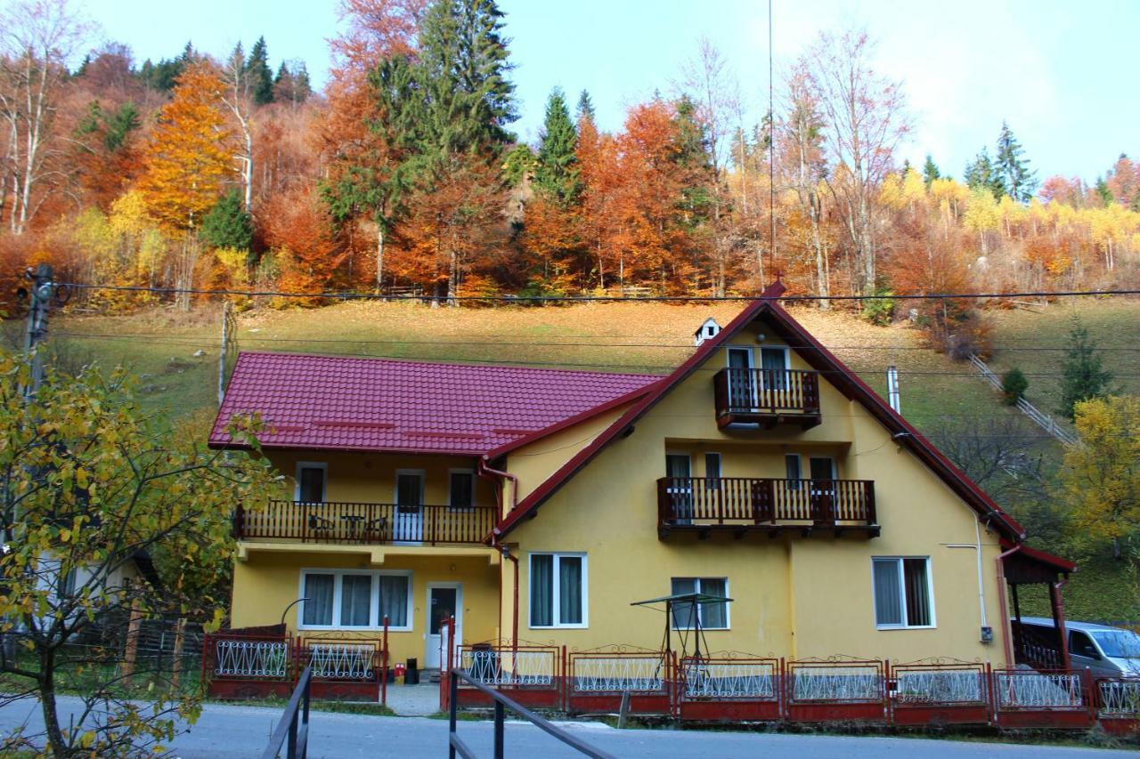 Hotel Casuta De Langa Padure Moeciu De Sus Zewnętrze zdjęcie