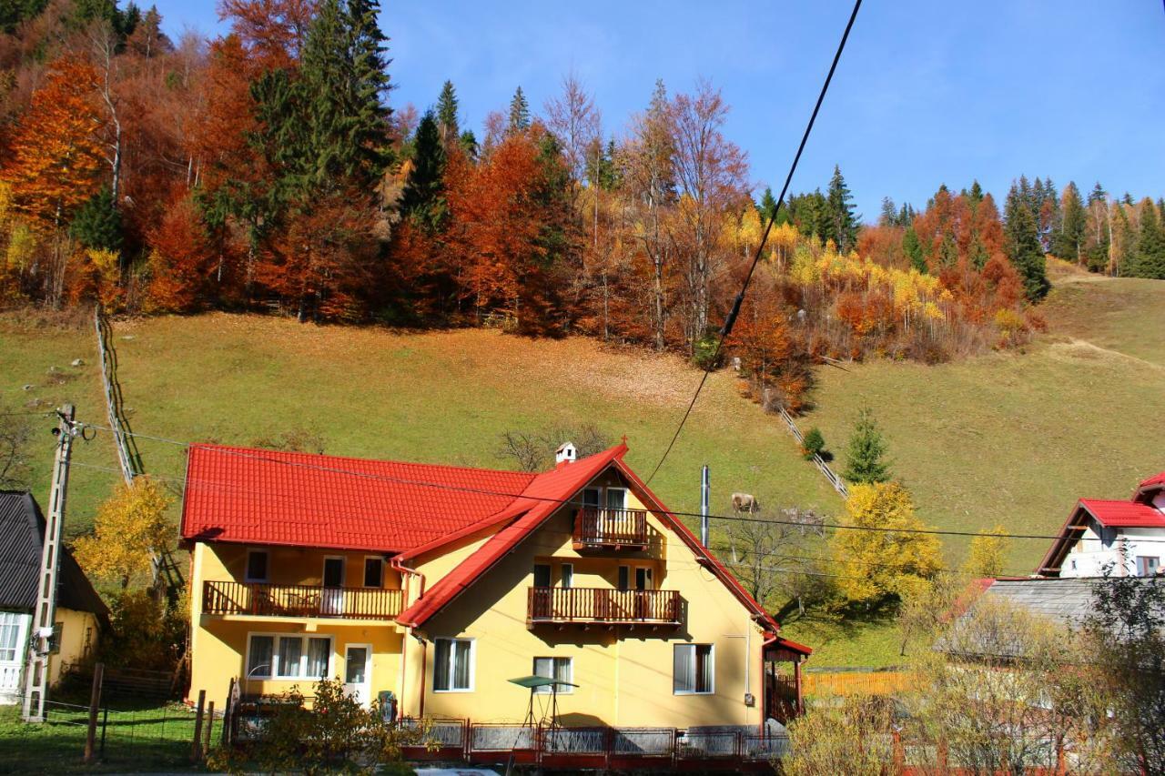 Hotel Casuta De Langa Padure Moeciu De Sus Zewnętrze zdjęcie