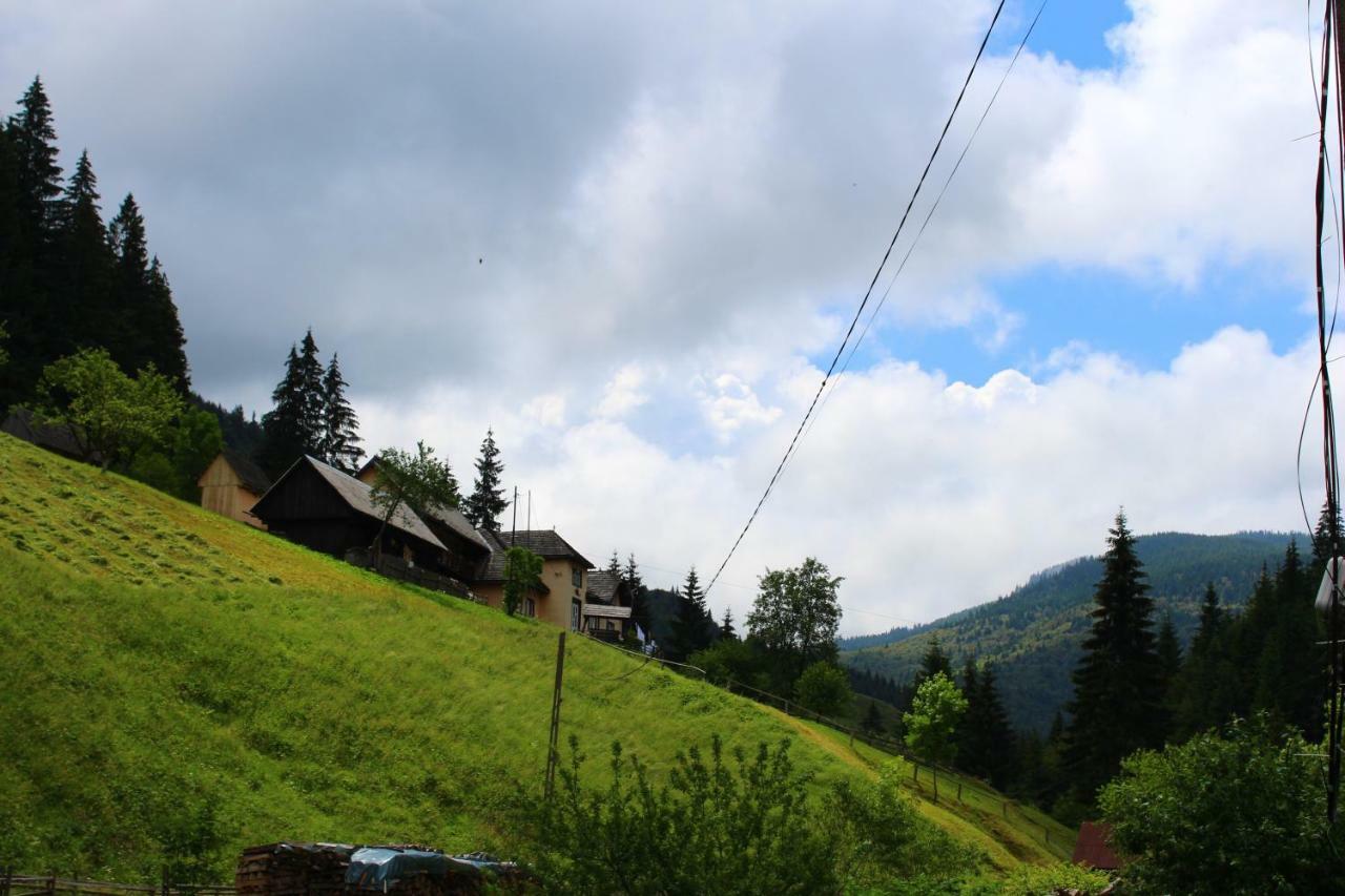 Hotel Casuta De Langa Padure Moeciu De Sus Zewnętrze zdjęcie