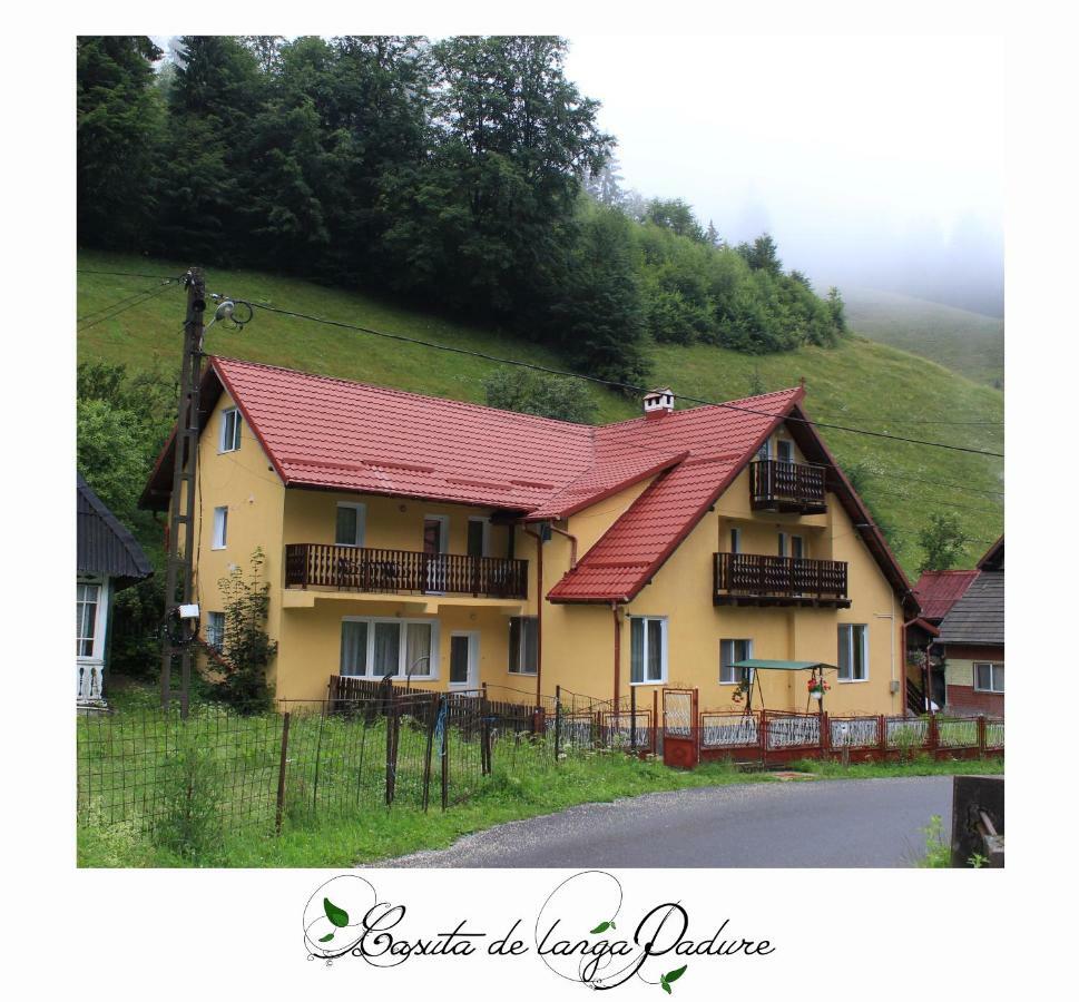 Hotel Casuta De Langa Padure Moeciu De Sus Zewnętrze zdjęcie