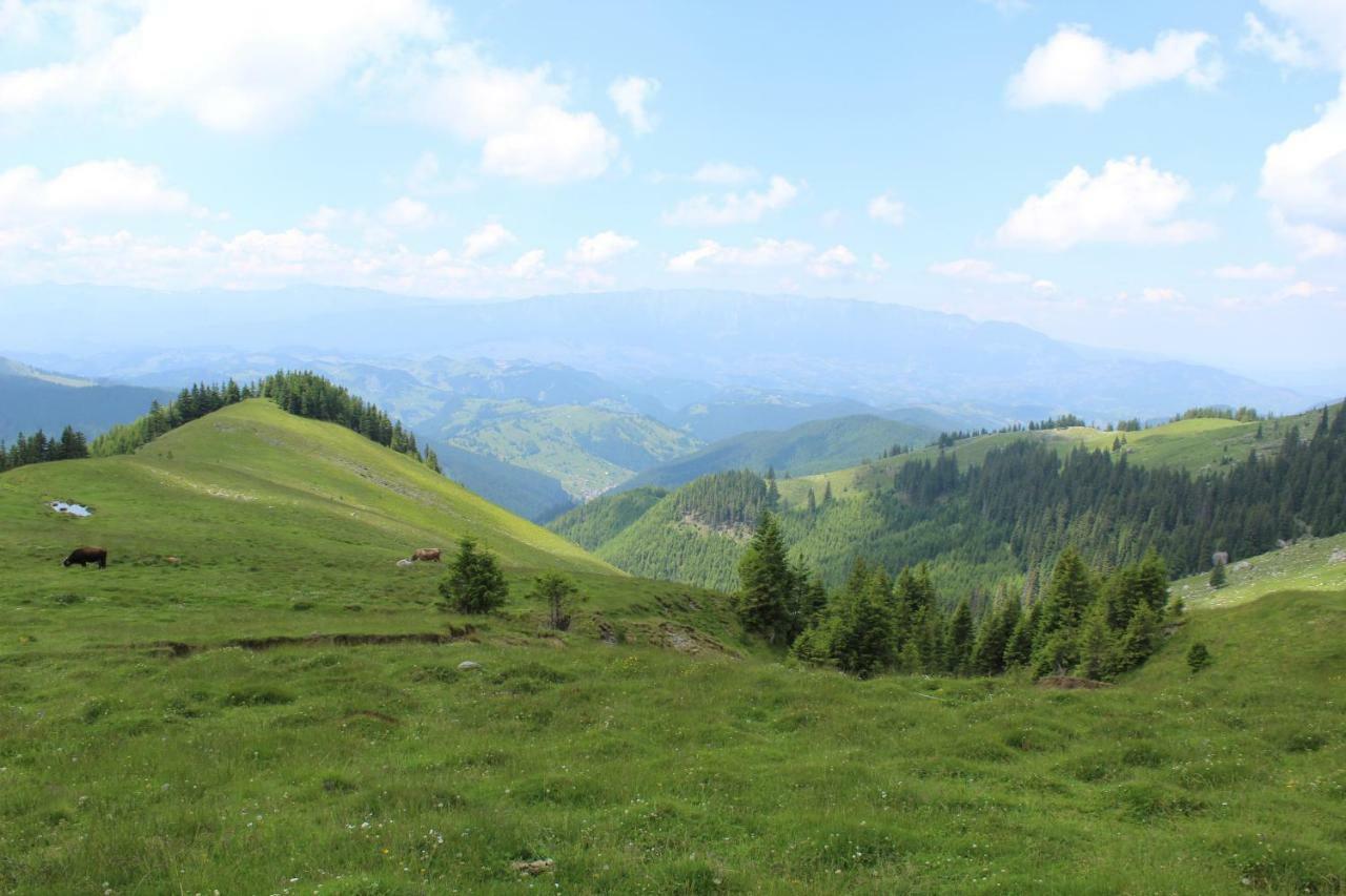 Hotel Casuta De Langa Padure Moeciu De Sus Zewnętrze zdjęcie