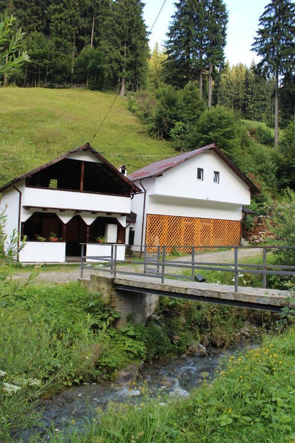 Hotel Casuta De Langa Padure Moeciu De Sus Zewnętrze zdjęcie